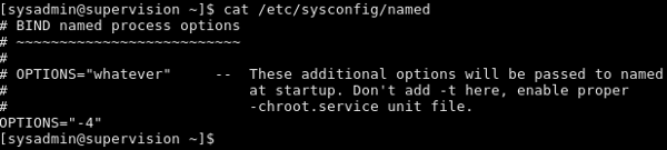 Fichier [/etc/sysconfig/named]